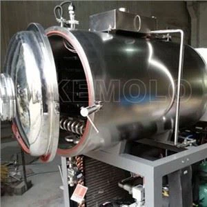 Uscător de fructe de mure și legume de îngheț